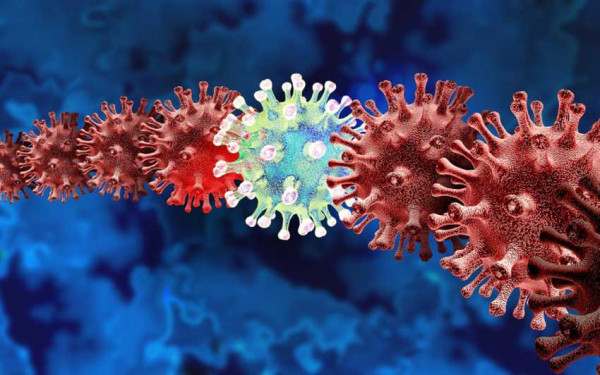 5.000 Virus Baru Ditemukan di Lautan, Paling Banyak di Perairan Beriklim Tropis