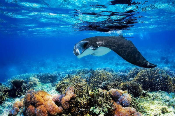 5 Tempat Wisata Bahari Terbaik di Indonesia, Cocok untuk Liburan Lebaran