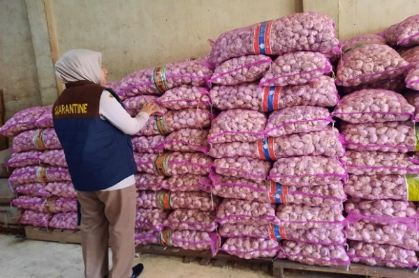 Kementan Pastikan Stok Pangan di Sulawesi Tengah Aman