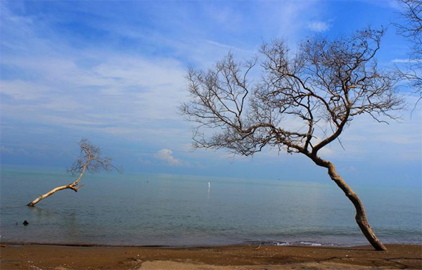 5 Pantai Indah Dekat Bandung Ini Cocok untuk Rekreasi Keluarga di Masa Libur Lebaran