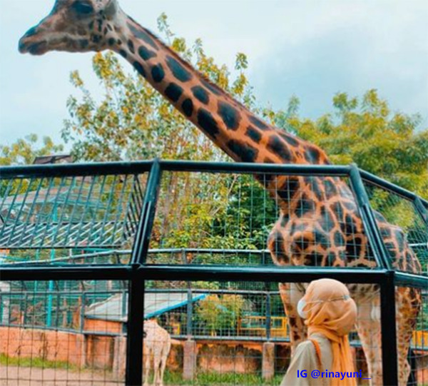 7 Tempat Wisata di Jalur Pantura, Bisa Bikin Mudik Jadi Lebih Seru!