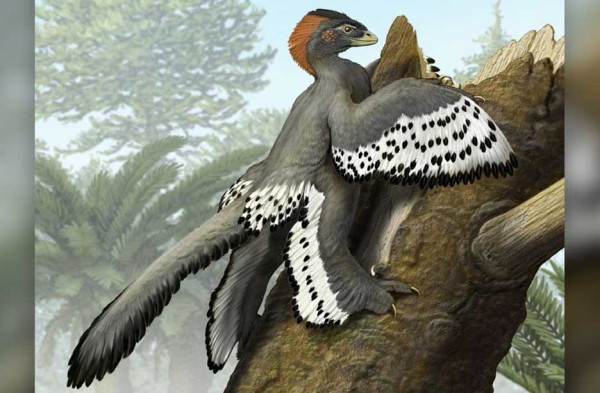 Dinosaurus Punya Kemampuan Kamuflase Rumit, Ini Rahasia Perubahan Warnanya