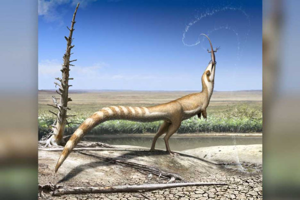 Dinosaurus Punya Kemampuan Kamuflase Rumit, Ini Rahasia Perubahan Warnanya