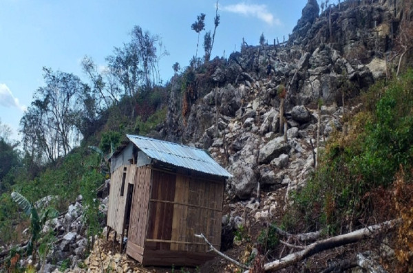 Hutan Bowosie Dirambah Sejak 1998, Penolakan BPOLBF oleh KMRB Kian Lemah