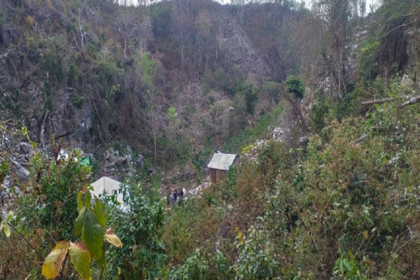Hutan Bowosie Dirambah Sejak 1998, Penolakan BPOLBF oleh KMRB Kian Lemah