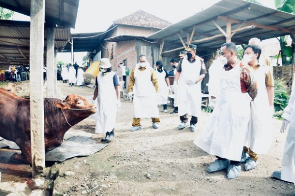 Mentan SYL Tinjau Posko dan Peternakan di Gresik, Pastikan Penanganan PMK Terkendali dan Optimal