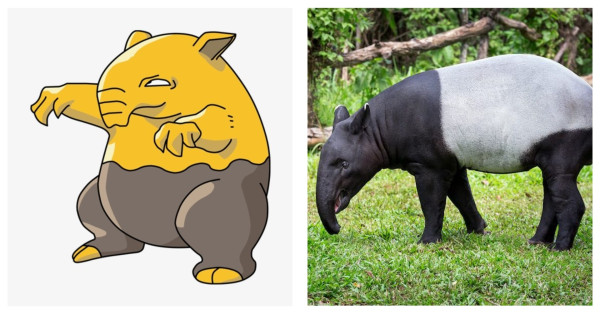 5 Karakter Pokemon yang Terinspirasi Hewan Asli, No 2 dari Indonesia!