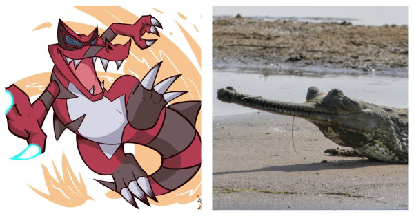 5 Karakter Pokemon yang Terinspirasi Hewan Asli, No 2 dari Indonesia!