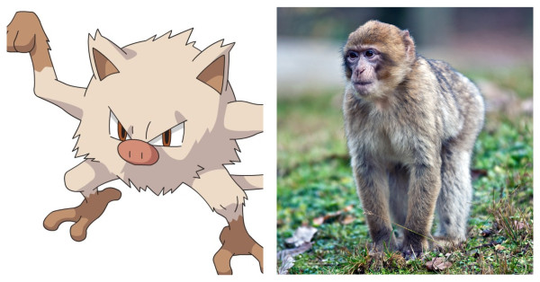 5 Karakter Pokemon yang Terinspirasi Hewan Asli, No 2 dari Indonesia!