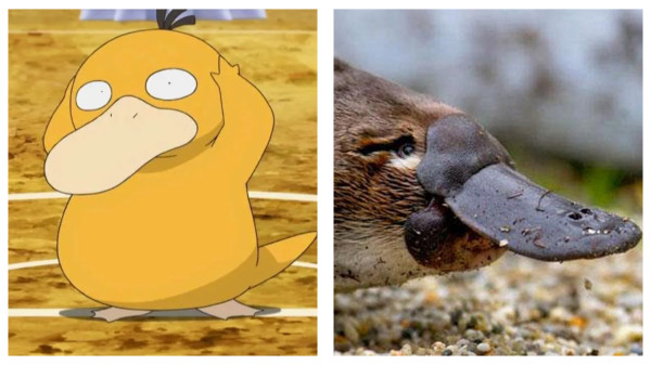 5 Hewan Akuatik Unik yang Jadi Inspirasi Karakter Pokemon