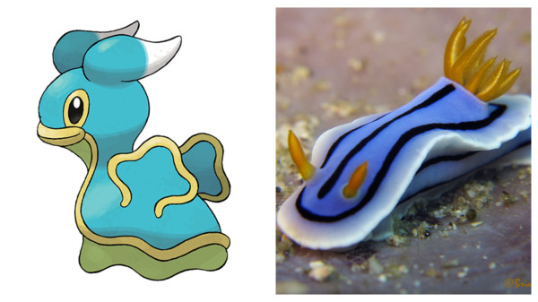 5 Hewan Akuatik Unik yang Jadi Inspirasi Karakter Pokemon