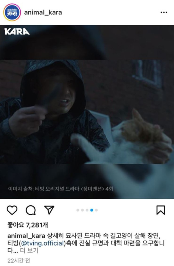 Tim Produksi Drama Korea Rose Mansion Bantah Aniaya Kucing dalam Adegannya