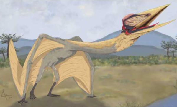 Fosil Dinosaurus Naga Kematian Ditemukan di Argentina, Punya Lebar Sayap 9 Meter