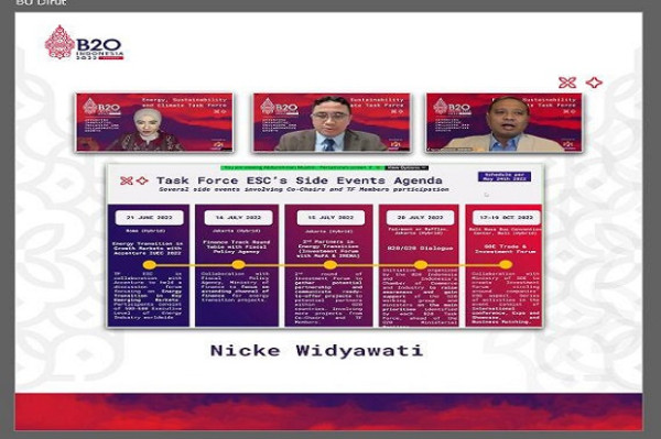 Perkuat Rekomendasi Kebijakan, Task Force Energy, Sustainability and Climate B20 Tambahkan Target Kinerja dan SDG's
