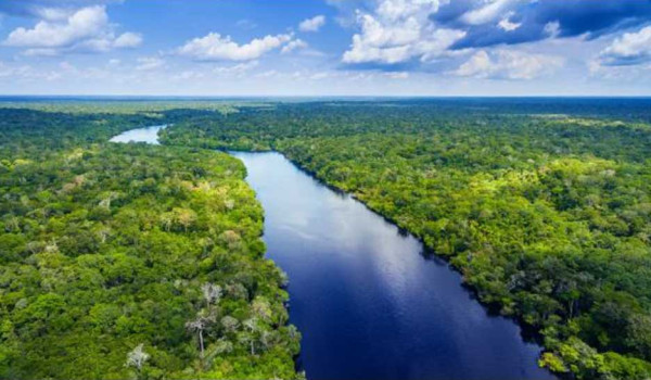 Terungkap Alasan Tidak Ada Satu pun Jembatan di Atas Sungai Amazon