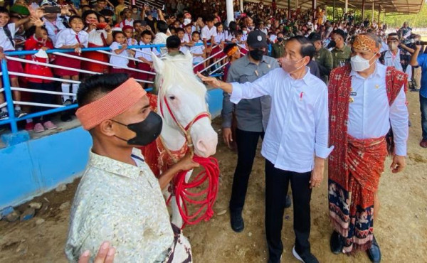 Momen Jokowi Nonton Pacuan Kuda di NTT
