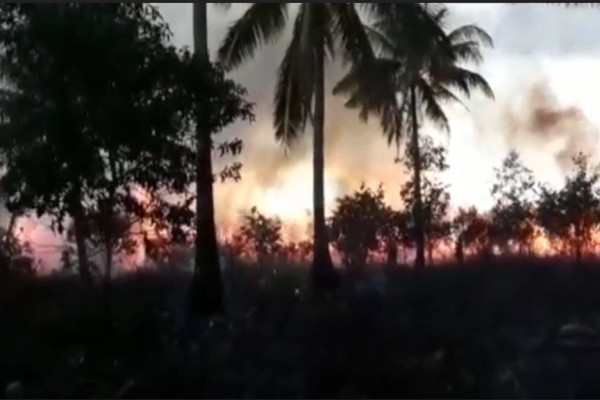 Kobaran Api Hanguskan 10 Hektare Lahan di Tanjung Sagu Natuna