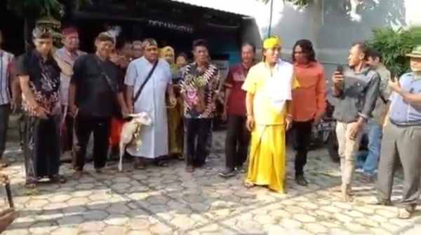 Gresik Gempar! Heboh Pria Menikah dengan Kambing