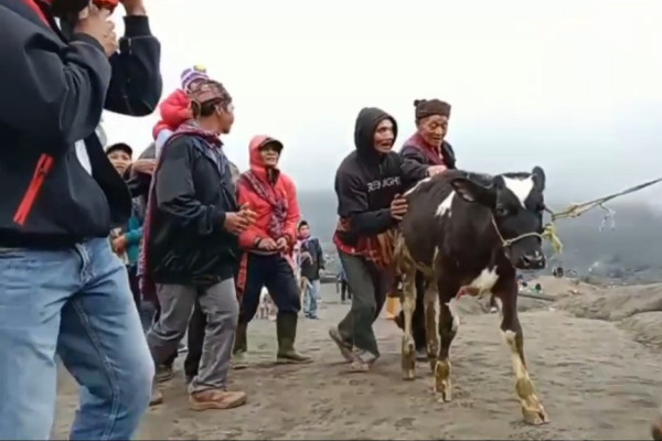Rayakan Yadnya Kasada untuk Hormati Leluhur, Suku Tengger Larung Sesaji di Kawah Bromo