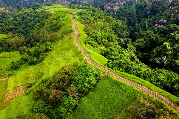 5 Tempat Wisata Gratis di Bali, Hemat Liburan Bareng Keluarga