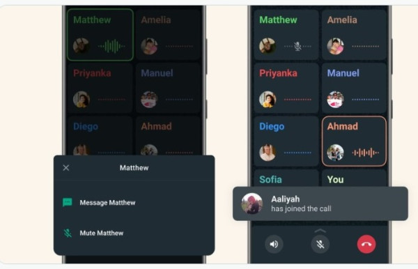 WhatsApp Kini Bisa Bisukan Pengguna Lain saat Group Call