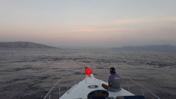 Kembali ke Labuan Hati, ke Taman Nasional Komodo Labuan Bajo