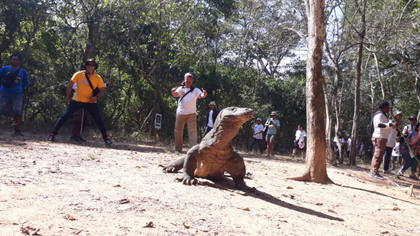 Kembali ke Labuan Hati, ke Taman Nasional Komodo Labuan Bajo