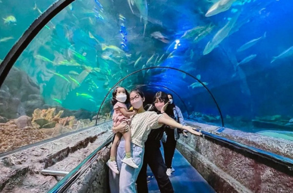 10 Tempat Wisata di Jabodetabek yang Cocok Dikunjungi saat Musim Hujan