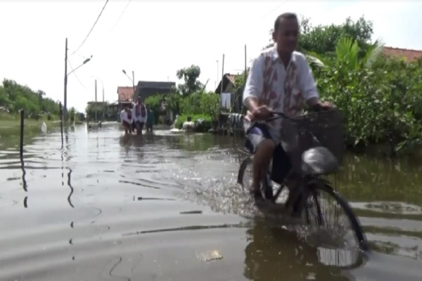 Ribuan Rumah di Pekalongan Terendam Banjir Akibat Tanggul Sungai Meduri Jebol