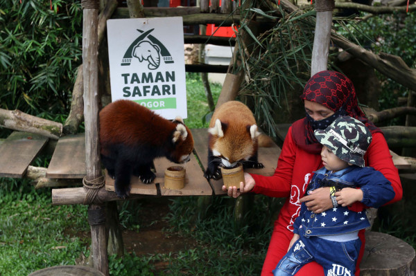 3 Tempat Wisata di Indonesia yang Wajib Dikunjungi saat Libur Sekolah