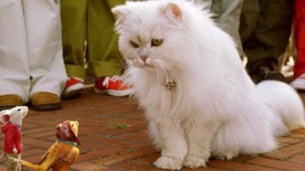 Rekomendasi 10 Film, Novel, dan Lagu tentang Kucing, Bikin Gemes!