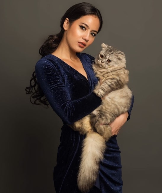 6 Seleb Indonesia yang Punya Peliharaan Kucing, Cinta Laura Pilih yang Kampung