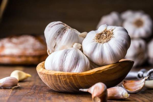 10 Obat Kolesterol Tinggi yang Bisa Dibeli Tanpa Resep, Murah dan Mudah Didapat