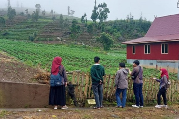 PLN Dorong Peningkatan Ekonomi Petani Bawang di Kabupaten Sinjai