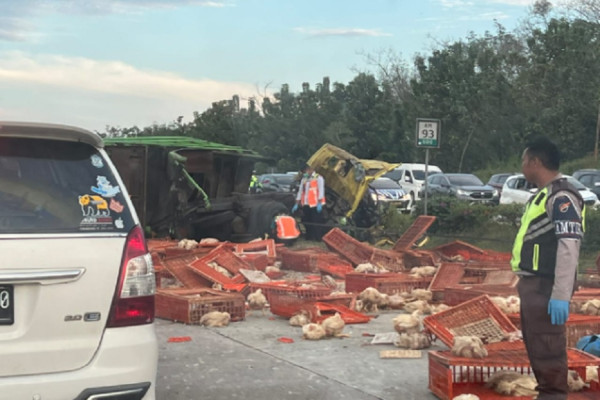 Bus Primajasa Tabrak Truk Ayam di Tol Cipali, 2 Sopir Tewas