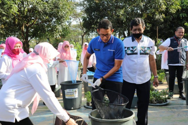 Sandiaga Uno Happy, Program Juragan Lele Lalap Mulai Panen Ikan