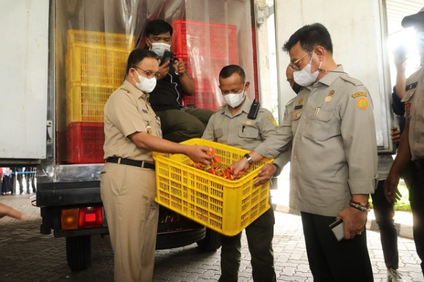 Jelang Idul Adha, Kementan Siapkan Kebutuhan Pangan di Wilayah DKI Jakarta