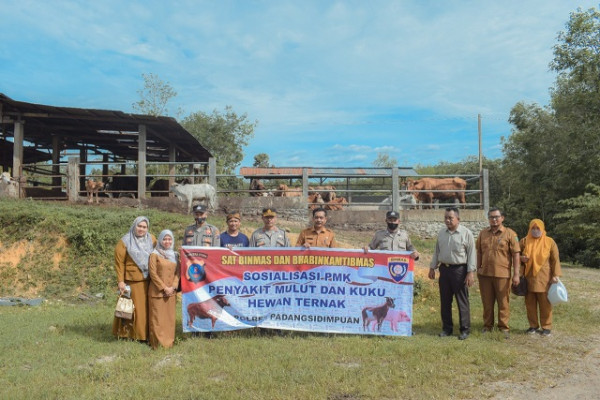 Cegah PMK, Dinas Pertanian Kota Padang Sidempuan Monitoring Kandang Ternak