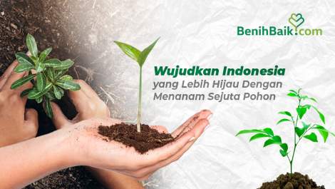 Yuk Tanam Pohon untuk Selamatkan Bumi