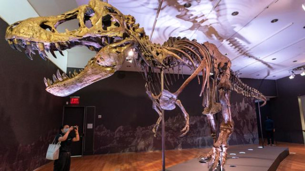 Terungkap Alasan Dinosaurus T-Rex Punya Tangan Pendek