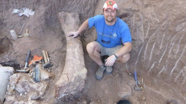 Terungkap Alasan Dinosaurus T-Rex Punya Tangan Pendek