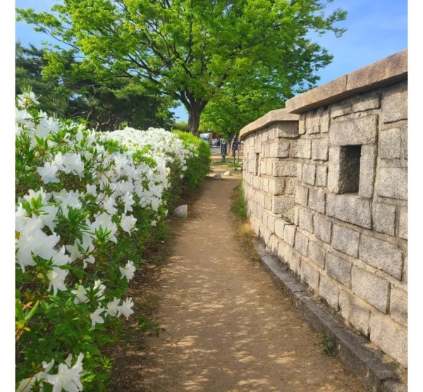 Tempat Wisata di Seoul yang Sering Jadi Lokasi Syuting Drama Korea