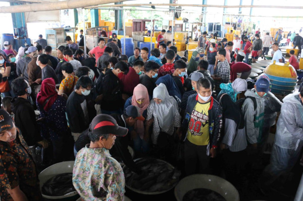 5 Pasar Ikan Terbaik di Jakarta, Nomor 1 Mampu Saingi Tokyo
