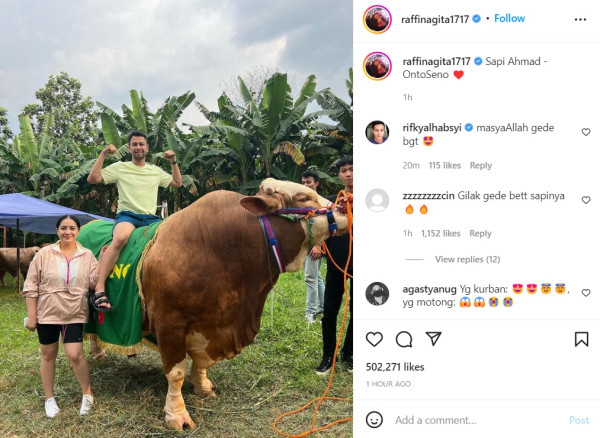 Raffi Ahmad Pamer Hewan Kurban Jumbo, Netizen: Itu Sapi Apa Gajah