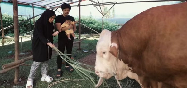 5 Artis yang Berkurban di Idul Adha 2022, Nomor 4 Beli Sapi Terberat di Indonesia