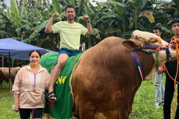 5 Artis yang Berkurban di Idul Adha 2022, Nomor 4 Beli Sapi Terberat di Indonesia