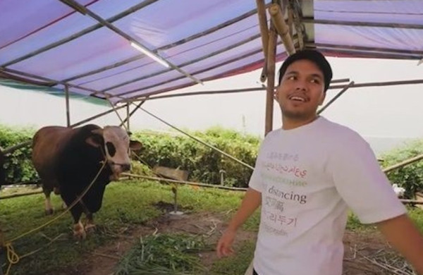 5 Artis yang Berkurban di Idul Adha 2022, Nomor 4 Beli Sapi Terberat di Indonesia