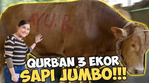 5 Artis yang Berkurban di Idul Adha 2022, Nomor 4 Beli Sapi Terberat di Indonesia