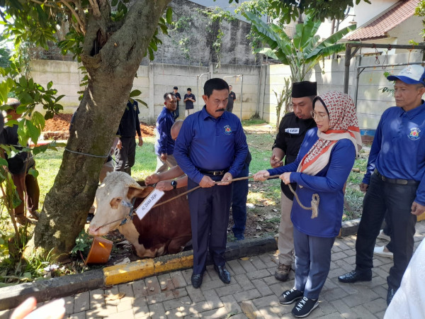 Ibadah Kurban, Kadin DKI: Tingkatkan Pengabdian kepada Allah dan Kepedulian Sesama