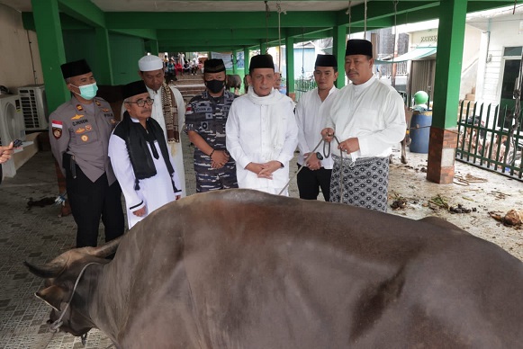 Gubernur Ansar Serahkan Sapi Kurban untuk Gerbang Utara Perbatasan NKRI